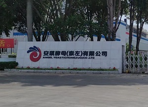 安琪酵母（崇左）有限公司