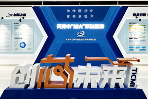 天津天芯微系统集成研究院有限公司