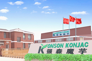 湖北强森魔芋科技有限公司